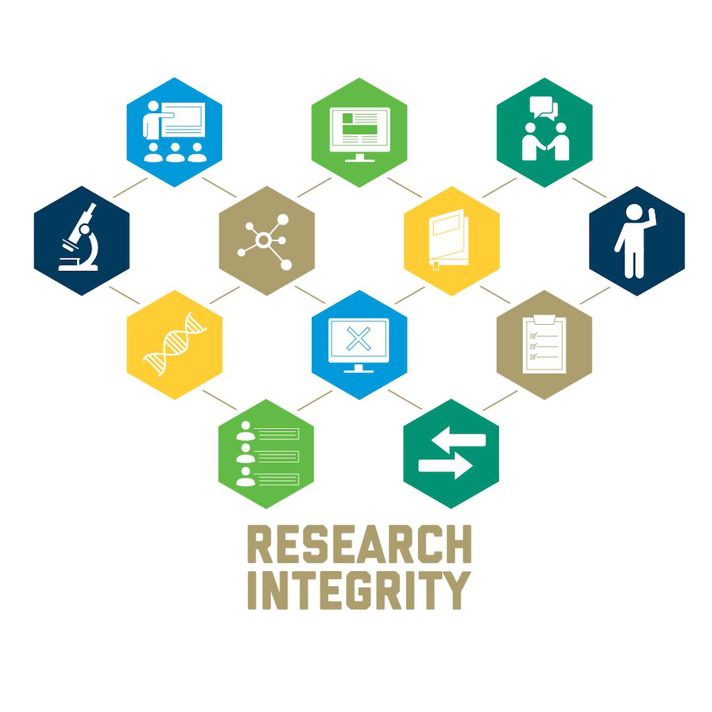 A series of icons denoting processes i.e. talk, look, ask questions